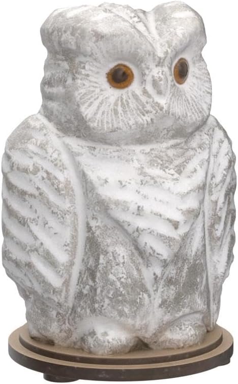 Owl Crystal Salt Lamp H 6.7”, 4.4 lbs - Pure Natural Rock Salt – Unique Night Light Lamp - 1 Light Bulb as a Gift - Wooden Present Box - Holiday Gift Ideas - Cool Room Décor