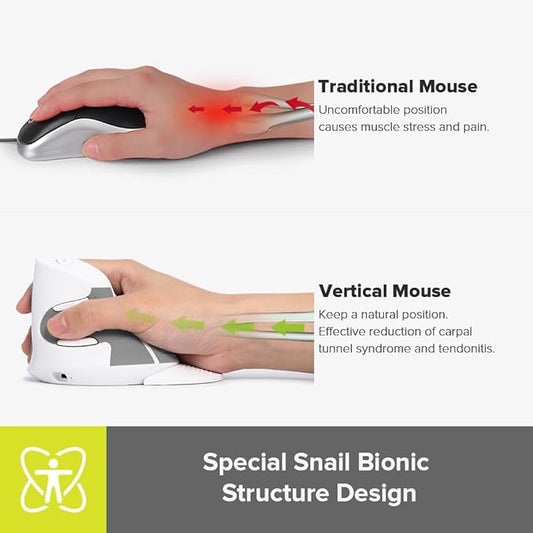 DeLUX Rechargeable Ergonomic Wireless Mouse Silent, 1600DPI, Reduce Hand and Wrist Pain, Vertical Mouse with USB Receiver and BT 5.0, 6 Buttons and Removable Palm Rest (M618G DB-White)