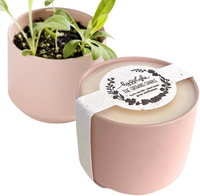 The Growing Candle, Coffee Scented, 8oz Ceramic Pot, Aromatherapy Candles, 100% Soy, Cream and Espresso Aroma for Home, Adelyn