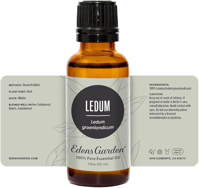 Edens Garden Ledum Essential Oil- 100% Pure Premium Grade, Undiluted, Natural, Therapeutic, Aromatherapy, The Best for Diffuser, Skin, Hair, Humidifiers 30 ml (1 fl oz)