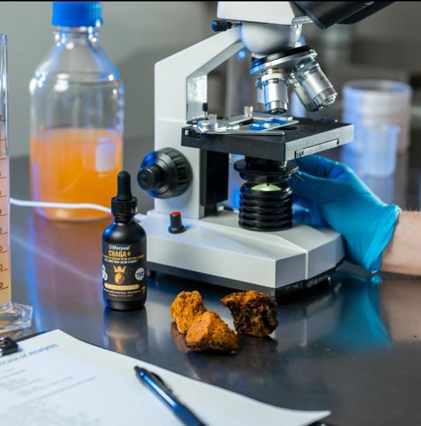 Life Cykel - Chaga Mushroom Extract with Kakadu Plum - Double Extracted Mushroom Tincture - Non-GMO Immune Support Supplement for Adults and Kids - 1 Fl Oz