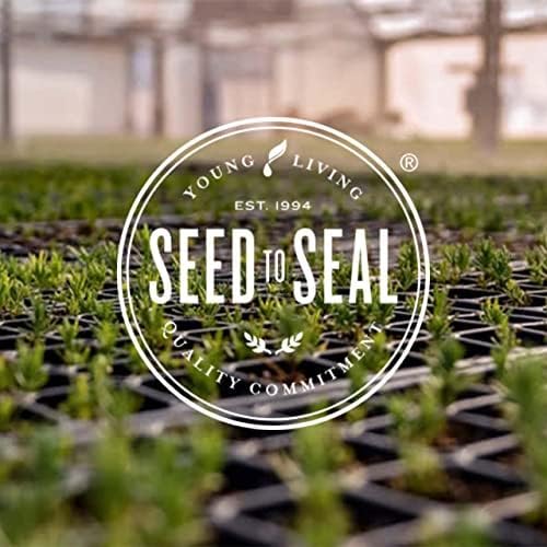 Young Living Stress Away Essential Oil Blend – 100% Pure, Vanilla-Lime Aroma, Diffuser & Topical Use, 5ml