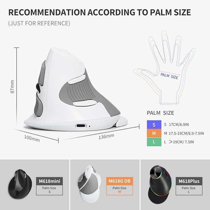 DeLUX Rechargeable Ergonomic Wireless Mouse Silent, 1600DPI, Reduce Hand and Wrist Pain, Vertical Mouse with USB Receiver and BT 5.0, 6 Buttons and Removable Palm Rest (M618G DB-White)