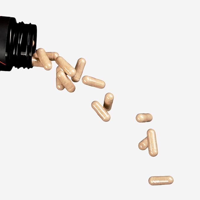 MINDHONEY | DOSE 60 Count, Premium All-in-One Nootropic Brain Supplement | Focus, Mood, Energy, & Memory | Functional Mushrooms & Adaptogens - Lion’s Mane, Ashwagandha, L-Theanine, Bacopa, & Vitamins