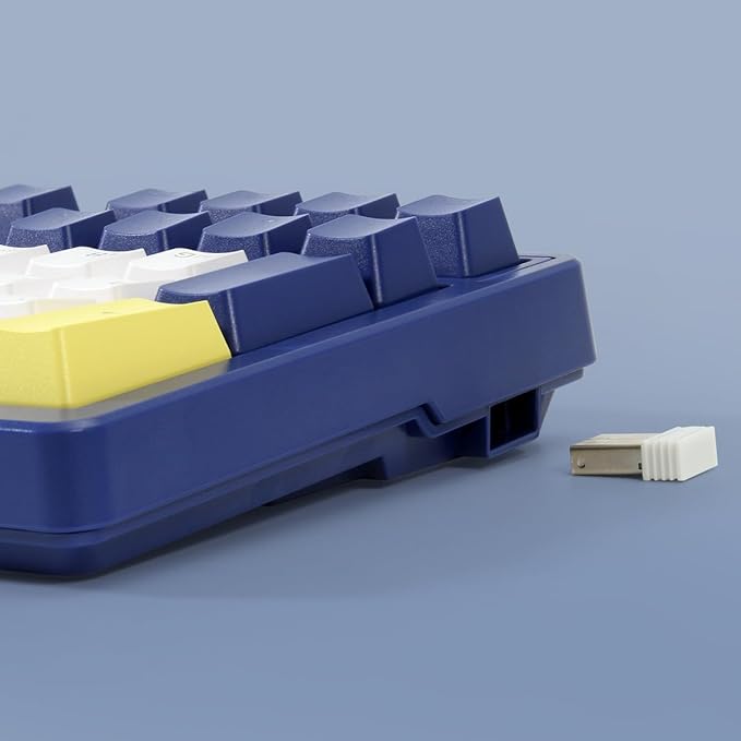 Wireless Mechanical Keyboard, Triple Mode 2.4G/USB-C/BT Gaming Keyboards 100 Keys Ice-Blue Backlit, Red Switch Keyboard | Rechargeable Mechanical Gaming Keyboards | Blue/White/Yellow