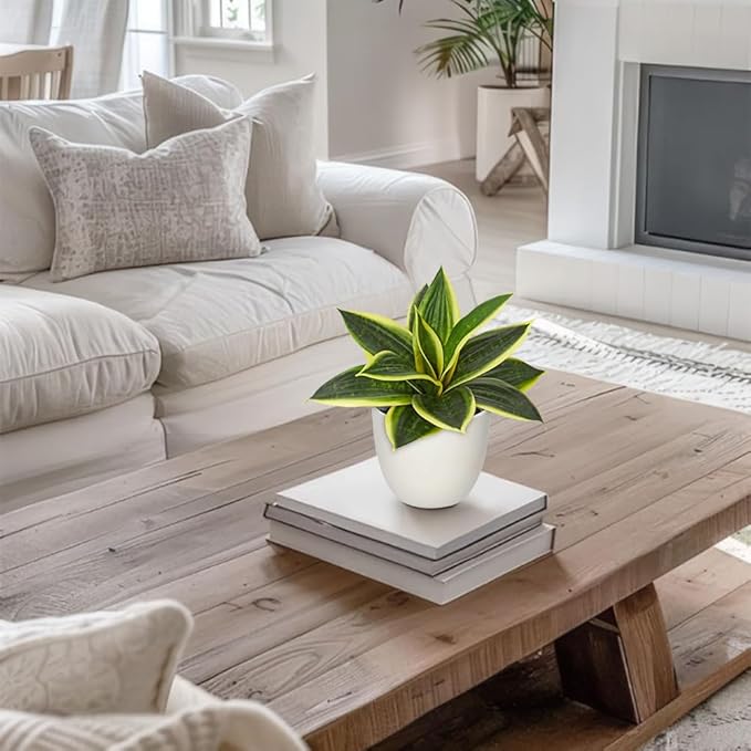 Hollyone Artificial Snake Plants 9" Faux Agave Succulent Plant Potted in White Pot Fake Sansevieria Aloe Tropical Plant for Desk Modern Office Home Bathroom Indoor Outdoor Decor