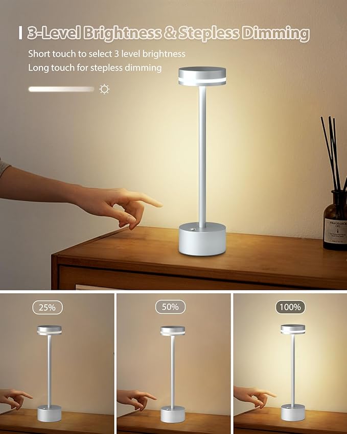 Modern Rechargeable Cordless Table Lamp, Aluminum Shell Dimmable Battery Powered Lamp, 4000mAh Certified Battery, 3000K Portable Warm White Bedside Lamp, Pack of 2 (Silver)