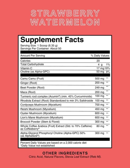 Roots Focus Nootropic Brain Supplement - Strawberry Watermelon, Blend of Lion's Mane, Cordyceps, & Reishi Functional Mushrooms + Extended-Release Caffeine, 50 Servings