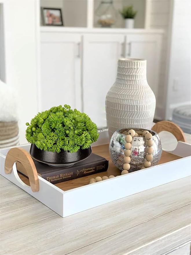 Briful Succulents Plants Artificial in Ceramic Pots Fake Succulent Arrangement with Black Bowl Planter Large Faux Succulent Plants for Home Bathroom Shelf Desk Table Indoor Decor