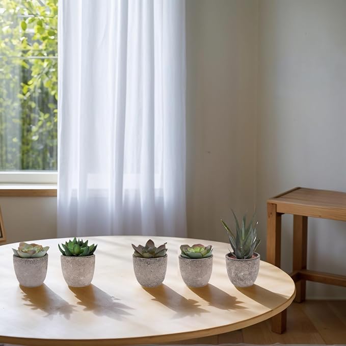 Artificial Succulent Plants Potted Set of 5,Faux Succulent Plants Potted Realistic Fake Succulents in Eco-Friendly Pots for Home Decor, Lifelike Low-Maintenance Desk Decor Gift