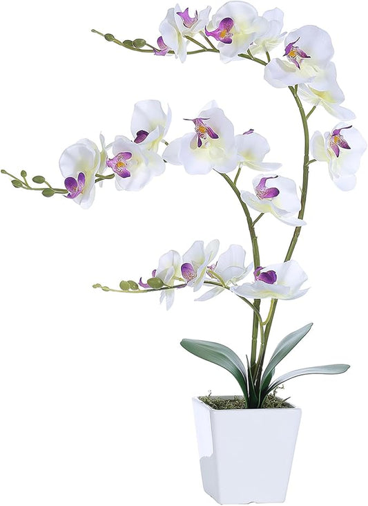 Faux Orchid in Vase Tall Artificial Orchid in Ceramic Vase Tall Silk Orchids with Stems Real Look Potted Fake Phalaenopsis Arrangement Centerpiece Table Decorations for Home Decor Indoor, White