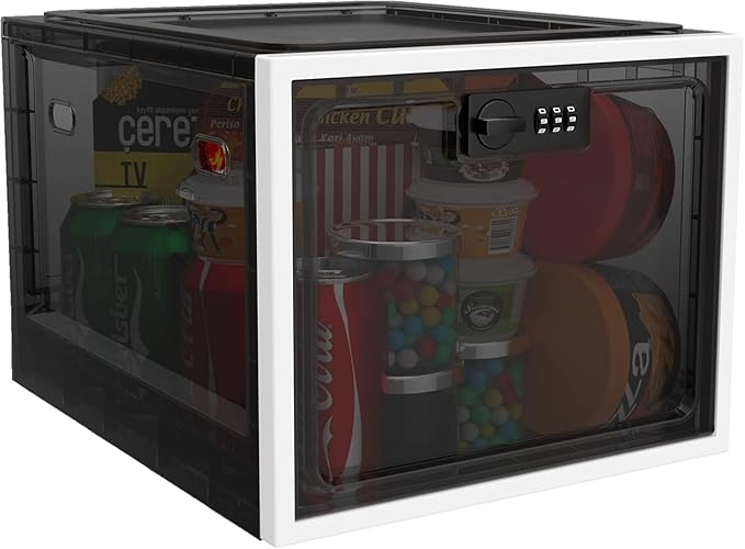 iBune Large Medication Lock Box, Lockable Medicine Storage Box for Medicine Safe/Phone/Refrigerator/Personal Items/Home/Office/Dorm, Black