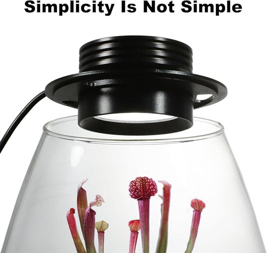 Desktop Glass Terrarium with Grow Light (H:7.8" D:6.7"), for Succulent, Moss, Miniature Gardening Landscape, Betta Fish Tank, Indoor Plant Growth, Office Home Decoration, Plant Lovers Gifts