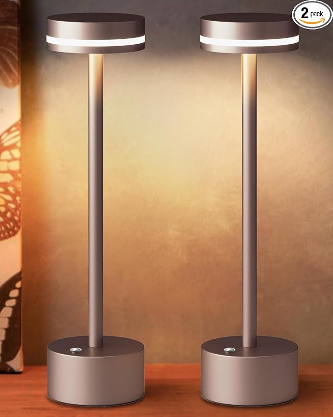 Modern Rechargeable Cordless Table Lamp, Aluminum Shell Dimmable Battery Powered Lamp, 4000mAh Certified Battery, 3000K Portable Warm White Bedside Lamp, Pack of 2 (Brown)