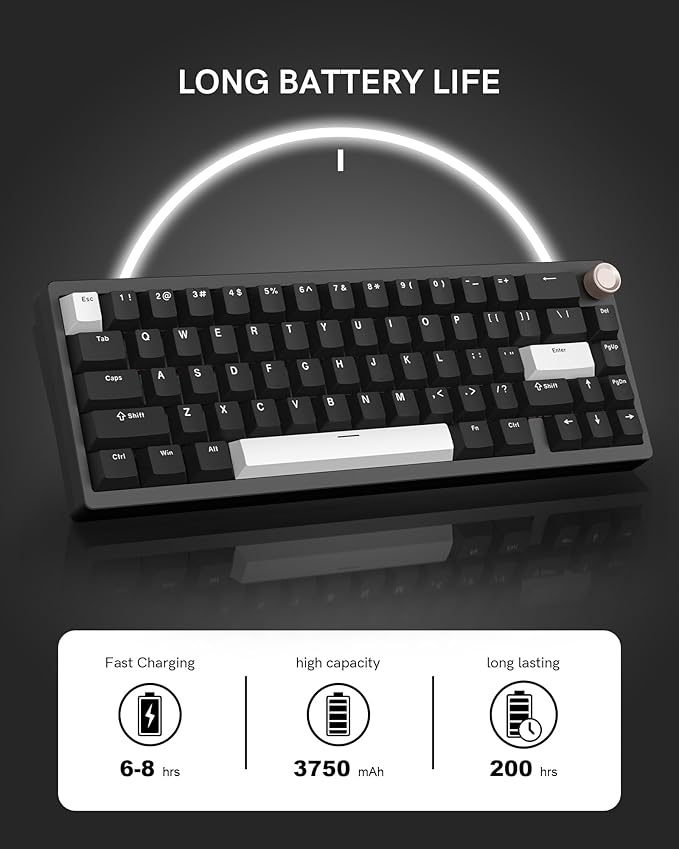 Womier SK65 Wireless Mechanical Gaming Keyboard with Knob, 60 Percent Aluminium Keyboard for PC, Bluetooth 5.0/2.4GHz/USB-C Wired, Hot Swappable Custom Lineaner Switch, RGB Backlit (Black V2)
