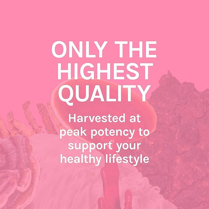 Host Defense Turkey Tail Extract - Digestive Health & Immune Response Support Supplement - Mushroom Supplement for Gastrointestinal & Gut Microbiome Support - 2 fl oz (60 Servings)*