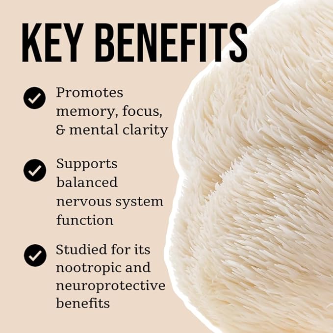 North Spore Organic Lion's Mane Mushroom Tincture (2 oz) | 100% Fruiting Body Extracts | for Focus, Memory, Brain Support | Certified Organic, Vegan, Non-GMO | Adaptogenic, Nootropic | Made in USA