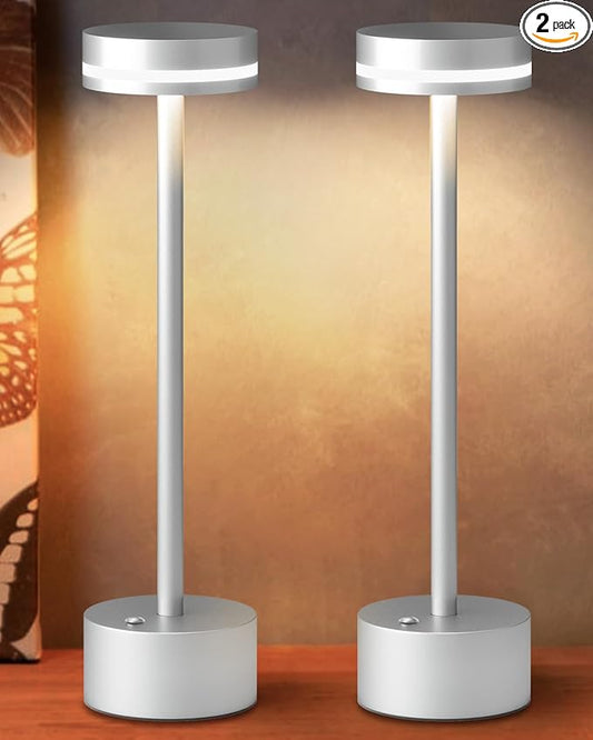 Modern Rechargeable Cordless Table Lamp, Aluminum Shell Dimmable Battery Powered Lamp, 4000mAh Certified Battery, 3000K Portable Warm White Bedside Lamp, Pack of 2 (Silver)