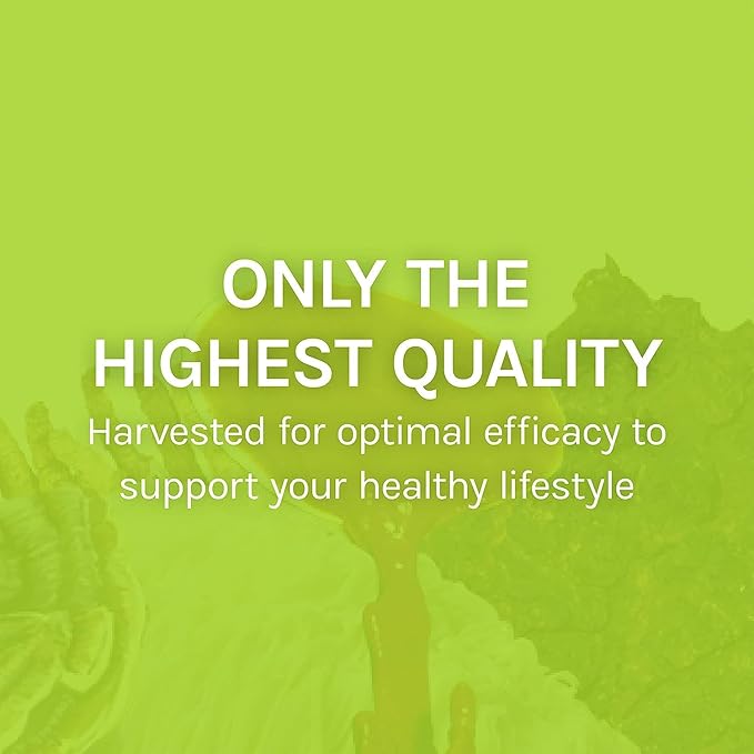 Host Defense Agarikon Capsules - Immune System Support Supplement - Mushroom Supplement to Aid Immune Functions & Cell Strength - Herbal Dietary Supplement - 60 Capsules (60 Servings)*