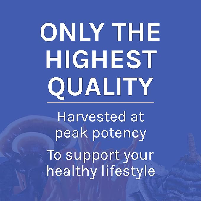 Host Defense Stamets 7 Mushroom Powder - 7 Species Blend - Mushroom Supplement for Immune Support with Royal Sun Blazei, Cordyceps, Reishi, Maitake, Lion's Mane, Chaga & Mesima - 3.5 oz (66 Servings)*