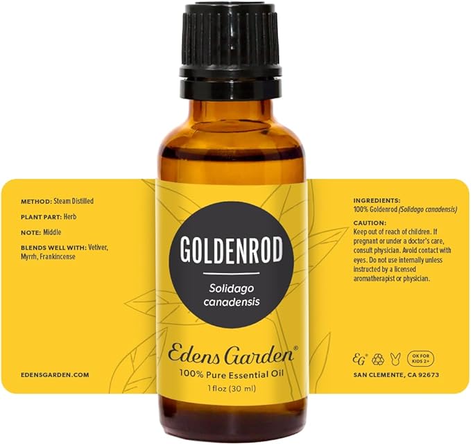 Edens Garden Goldenrod Essential Oil- 100% Pure Premium Grade, Undiluted, Natural, Therapeutic, Aromatherapy, The Best for Diffuser, Skin, Face, Humidifiers 30 ml (1 fl oz)