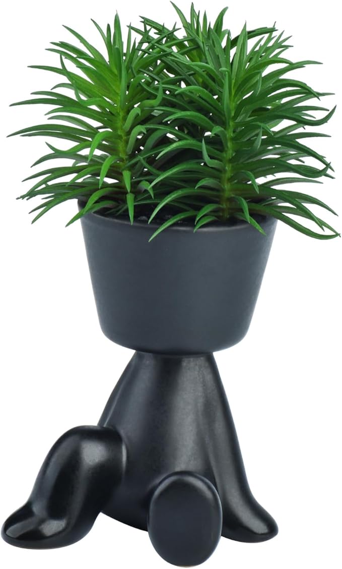 Faux Plants Indoor Decor, Artificial Succulents in Pots Small Artificial Plants in Ceramic Pots for Home and Kitchen Decor (Backward Arm Support)