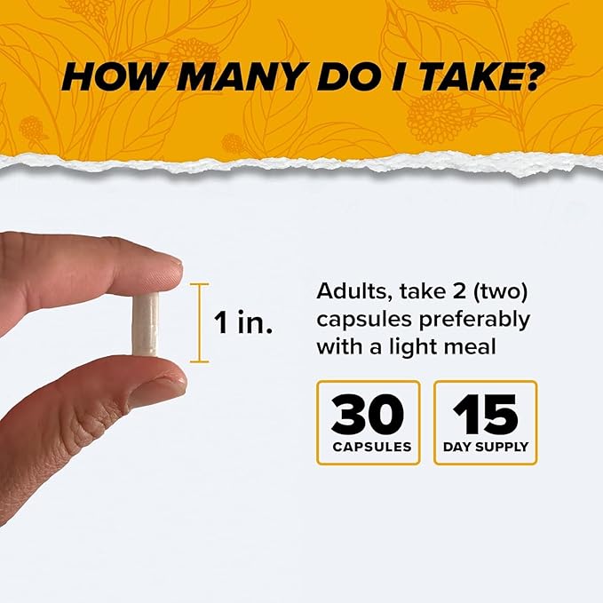 ONNIT Alpha Brain Premium Nootropic Brain Supplement for Men & Women - Caffeine-Free Focus Capsules for Concentration, Mental Clarity & Memory Support - Cat's Claw, Bacopa, Oat Straw (30ct 2-Pack)