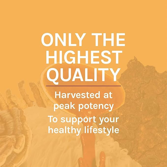 Host Defense Cordyceps Extract - Immune & Energy Support Supplement - Kidney Health Supplement with Cordyceps - Fitness Support to Aid Oxygen Uptake - 1 fl oz (30 Servings)*