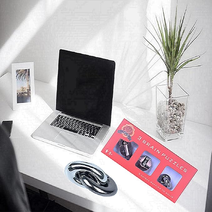 Brain Teaser Puzzle for Adults Puzzles Metal Hole Lock Adult Educational Toy Jigsaw IQ Puzzle (Red)