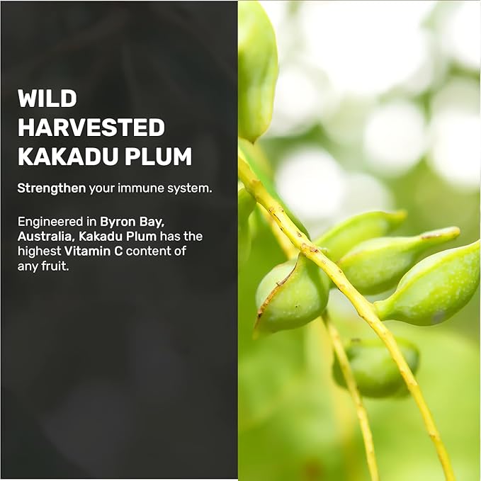 Life Cykel - Chaga Mushroom Extract with Kakadu Plum - Double Extracted Mushroom Tincture - Non-GMO Immune Support Supplement for Adults and Kids - 4 Fl Oz