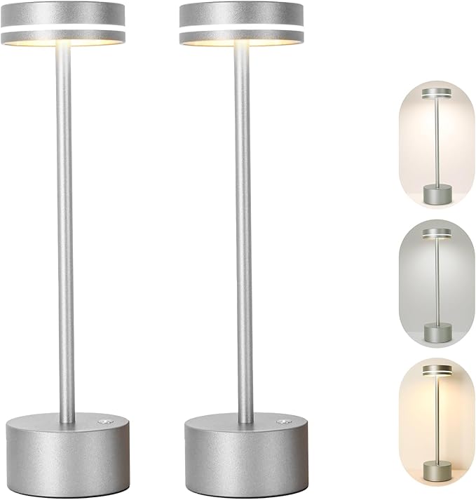 2 Pack Cordless Table Lamp,Bedside Table Lamp for Bedroom,5000mAh Battery Operated Portable LED Desk Lamp,3 Way Dimmable Touch Lamp USB C Charging Ports for Living Room, Desk,Dining Room(Silver)