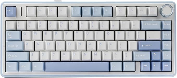 EPOMAKER x Aula F75 Gasket Mechanical Keyboard, 75% Wireless Hot Swappable Gaming Keyboard with Five-Layer Padding&Knob, Bluetooth/2.4GHz/USB-C, RGB (Sea Salt Blue, LEOBOG Reaper Switch)