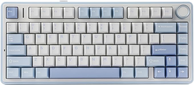 EPOMAKER x Aula F75 Gasket Mechanical Keyboard, 75% Wireless Hot Swappable Gaming Keyboard with Five-Layer Padding&Knob, Bluetooth/2.4GHz/USB-C, RGB (Sea Salt Blue, Ice Vein Switch)