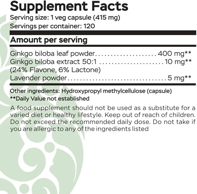 Ginkgo Biloba Support Brain Function, Supplements for Memory and Focus, Natural Antioxidant-Rich, Promotes Overall Health, 120 Vegetarian Capsules, GMP, 120 Count (Pack of 3)