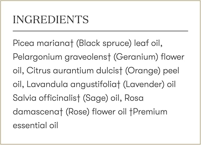 Envision Essential Oils Blend 5 ml by Young Living Kosher Certified New - Seed to Seal - Lavender Oil - Awakening Your Inner - Remove Negative Emotions