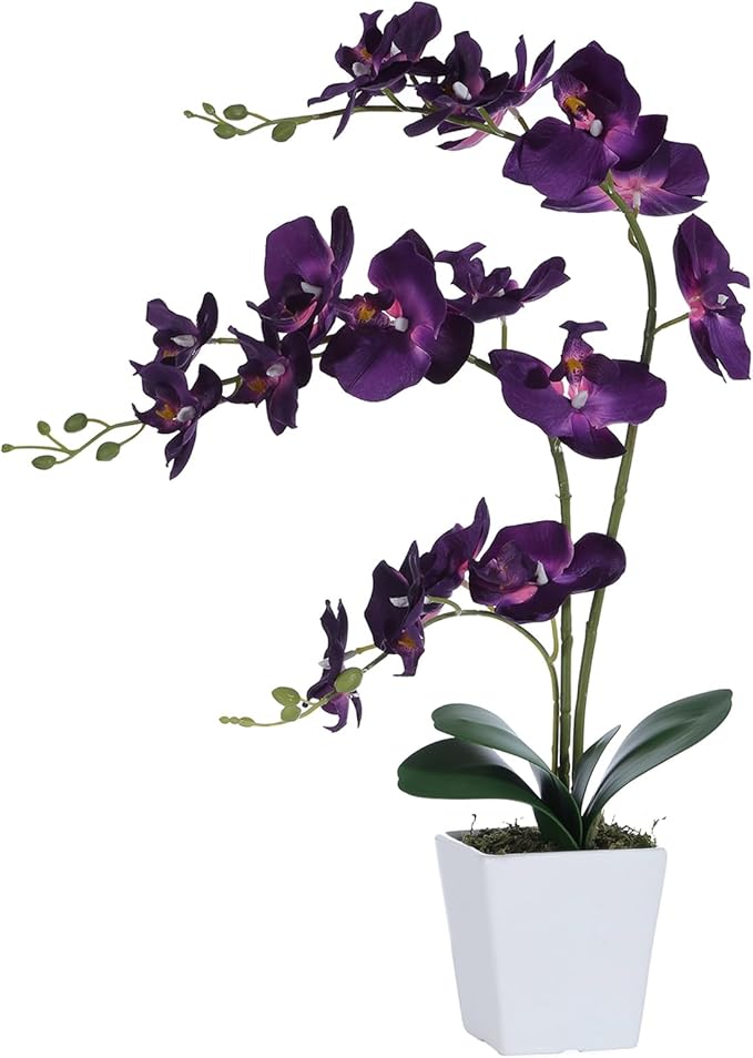 Faux Orchid in Vase Artificial Orchid in Ceramic Vase Tall Silk Orchids with Stems Real Look Phalaenopsis Flowers Arrangement Centerpiece Table Decorations for Home Decor Indoor, Dark Purple