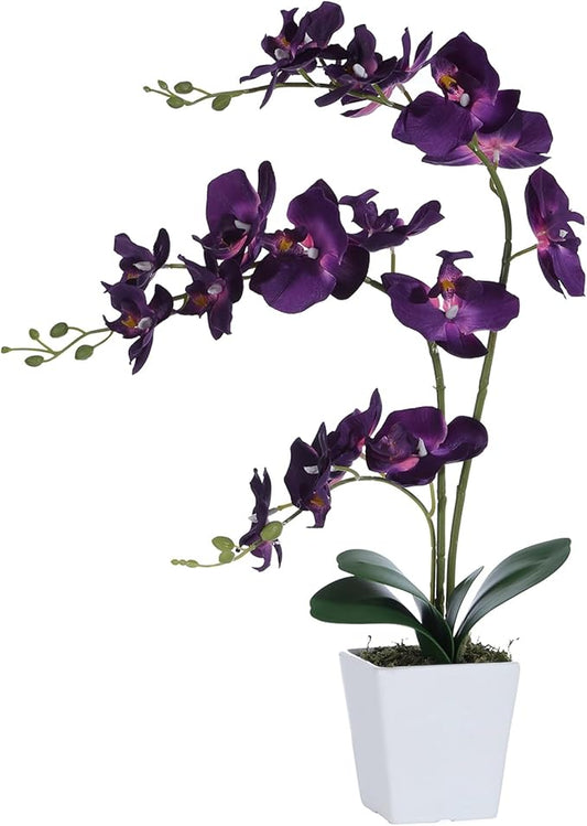 Faux Orchid in Vase Artificial Orchid in Ceramic Vase Tall Silk Orchids with Stems Real Look Phalaenopsis Flowers Arrangement Centerpiece Table Decorations for Home Decor Indoor, Dark Purple