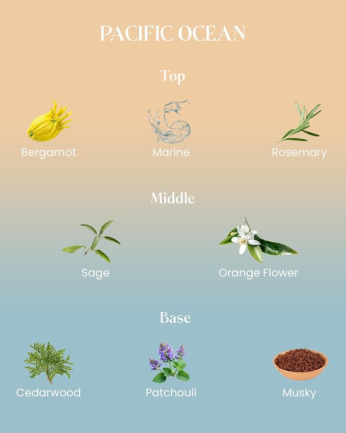 M&SENSE Summer Ocean Scented Candle, 10.6oz Natural Soy Wax 60-Hour Slow Burning Non Toxic Aromatherapy Summer Candle for Home Decor & Bath, Luxury Gifts