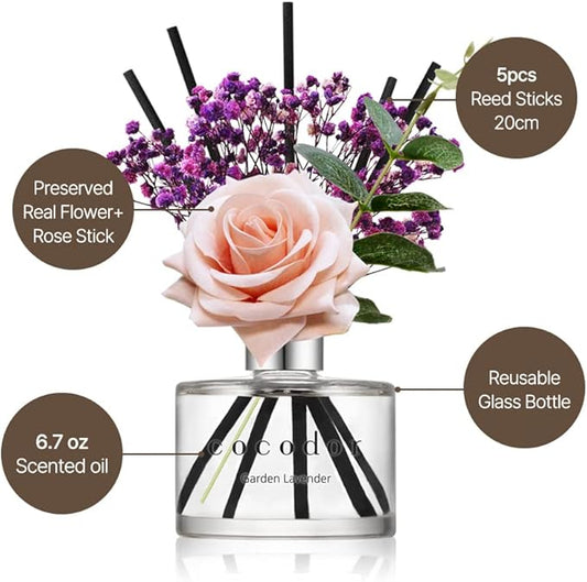 Cocod'or COCODOR Rose Flower Reed Diffuser/Rose Perfume/6.7oz(200ml)/1 Pack/Reed Diffuser, Reed Diffuser Set, Oil Diffuser & Reed Diffuser Sticks, Home Decor & Office Decor, Fragrance and Gifts