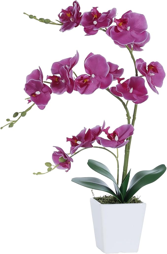 Faux Orchid in Vase Artificial Orchid in Ceramic Vase Tall Silk Orchids with Stems Real Look Potted Phalaenopsis Flowers Arrangement Centerpiece Table Decorations for Home Decor Indoor, Fuchsia