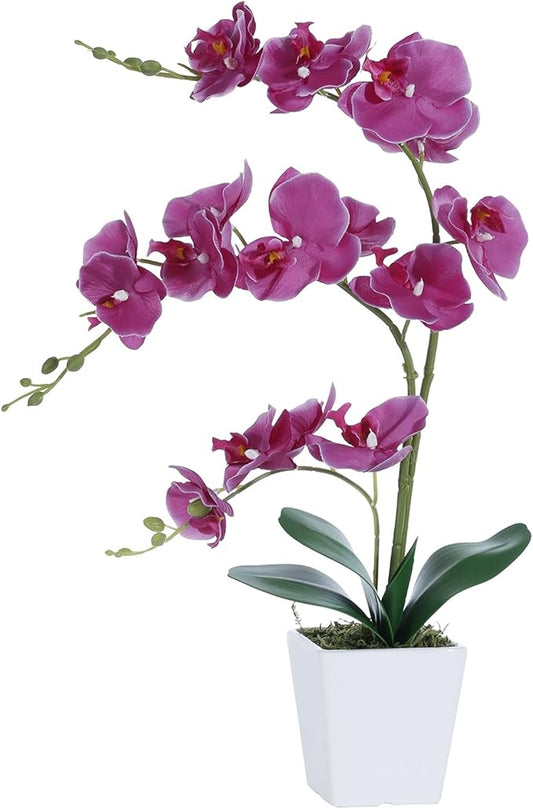 Faux Orchid in Vase Artificial Orchid in Ceramic Vase Tall Silk Orchids with Stems Real Look Potted Phalaenopsis Flowers Arrangement Centerpiece Table Decorations for Home Decor Indoor, Fuchsia