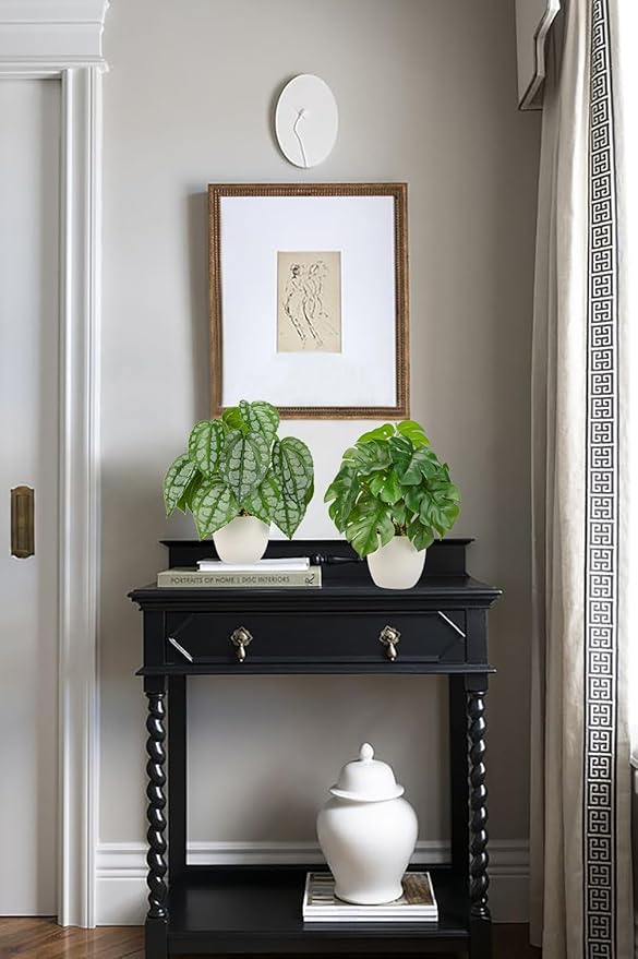 Fake Plants Small Faux Potted Plant 9.8 Inches Fake Piper Sylvaticum with Pot Artificial Plants Indoor for Home Decor Bedroom Aesthetic Bathroom Shelf Living Room Office Kitchen Table Decoration