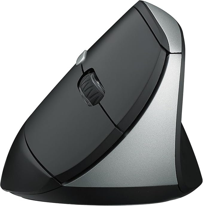 Rapoo EV250 Silent Vertical Ergonomic Mouse, 2.4G Wireless Optical Mouse, 800/1000/1200/1600 DPI, Quiet Clicks, 5 Buttons, Compatible with Windows/Mac OS/iPad OS, Laptop, PC - Black