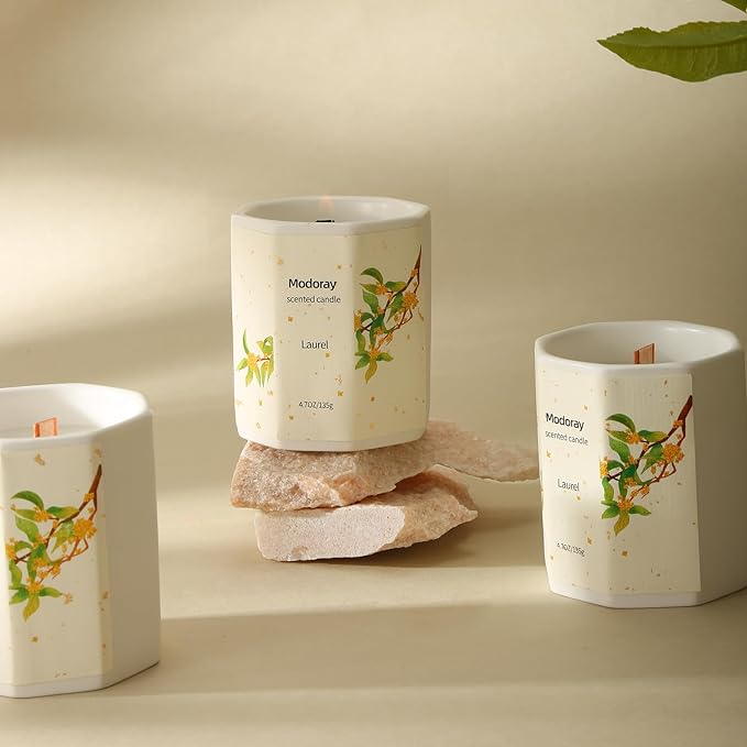 Scented Candles - Long Lasting Natural Soy and Wood Wick Aromatherapy Candles for Home
