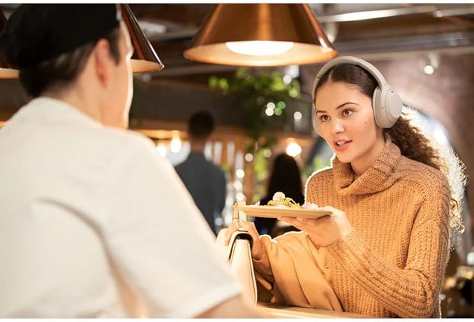 Sony WH-1000XM4 Wireless Noise Canceling Overhead Headphones with Mic for Phone-Call, Voice Control, Silver, with USB Wall Adapter and Microfiber Cleaning Cloth - Bundle