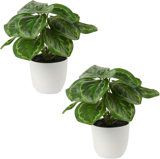 Briful 2 PCS Artificial Potted Alocasia Begonia Calathea Plants Mini Fake Plants in Plastic Pot Small Greenery Faux Plants Indoor for Home Office Desk Room Table Bathroom Bedroom Decorations