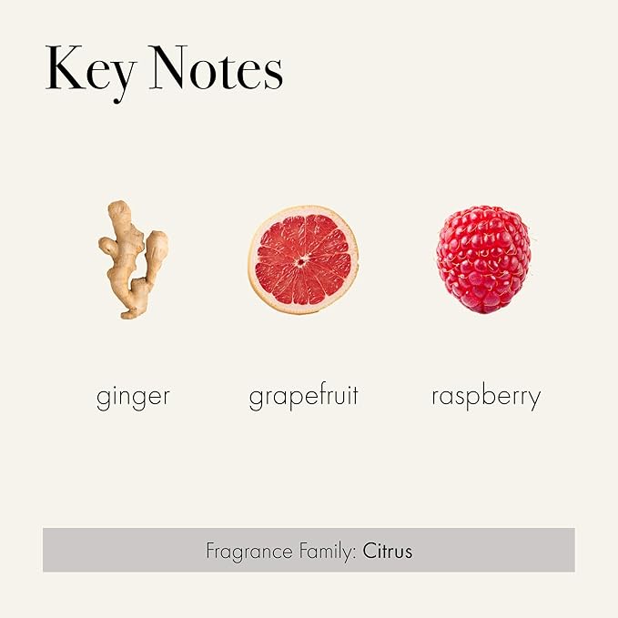 LAFCO New York Hand Sanitizer, Champagne - 3.3 fl oz - Purifies & Hydrates - Cruelty Free