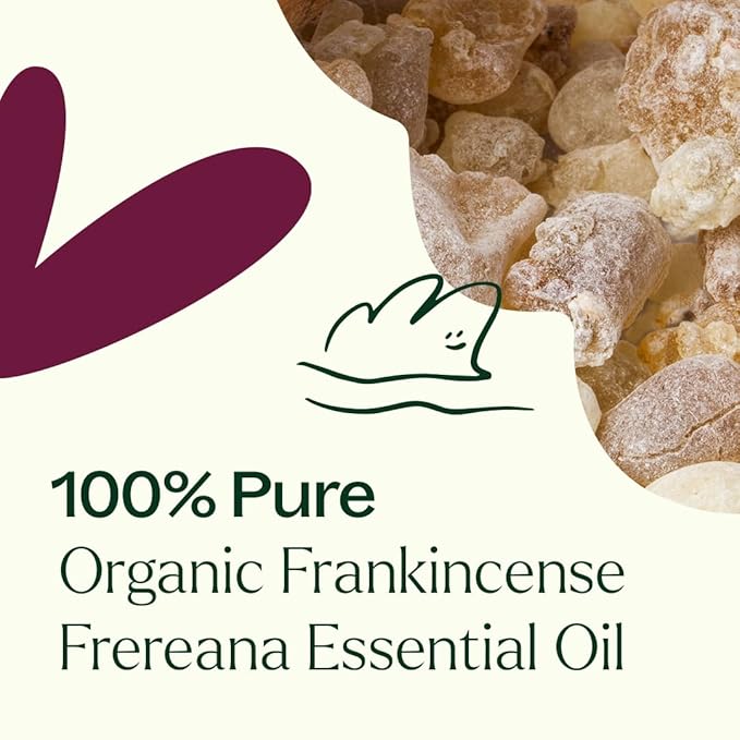 Plant Therapy Organic Frankincense Frereana Essential Oil 100% Pure, USDA Certified Organic, Undiluted, Natural Aromatherapy, Therapeutic Grade 10 mL (1/3 oz)