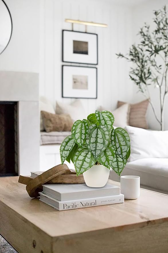 Fake Plants Small Faux Potted Plant 9.8 Inches Fake Piper Sylvaticum with Pot Artificial Plants Indoor for Home Decor Bedroom Aesthetic Bathroom Shelf Living Room Office Kitchen Table Decoration