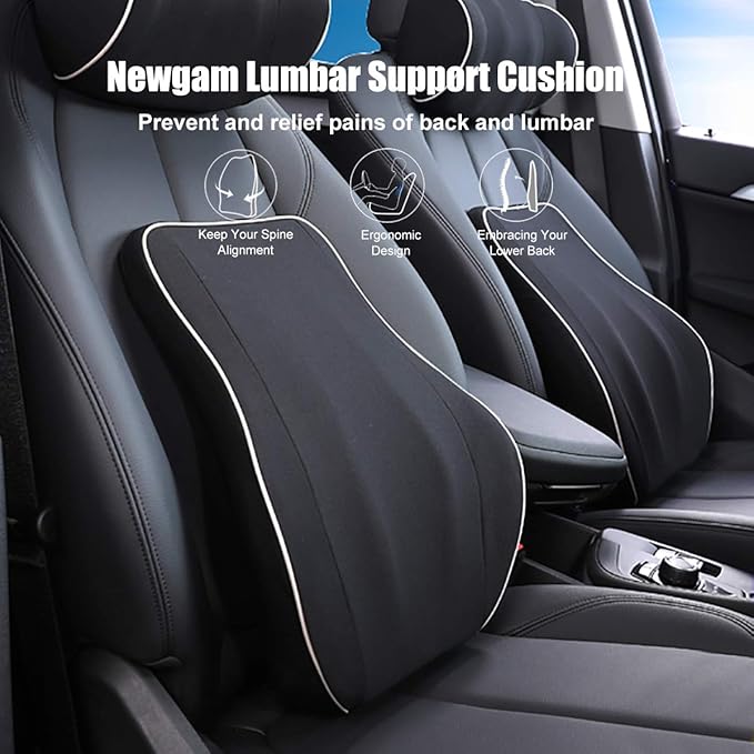 Newgam Lumbar Support Pillow/Back Cushion,Memory Foam Orthopedic Backrest with Breathable 3D Mesh for Car Seat,Office/Computer Chair,Wheelchair and Recliner,Ergonomic Design for Back Pain